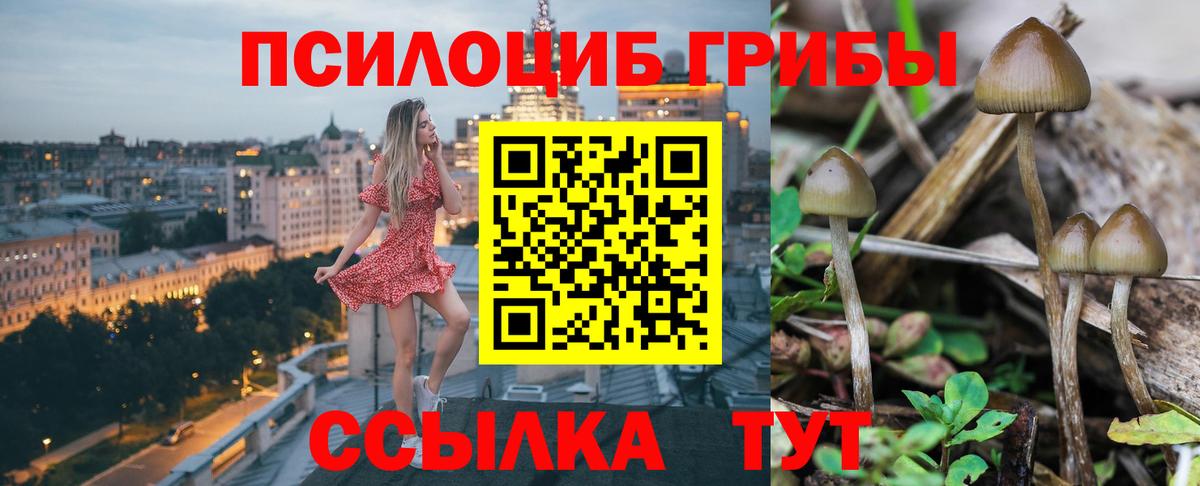 Галлюциногенные грибы Magic Shrooms  Вход с VPN  Калининград 